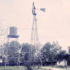 wildmyrtlefarms